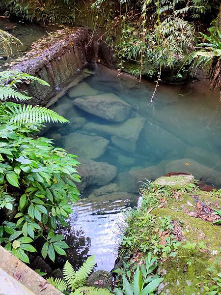 2020-11-17 12.02.08.jpg