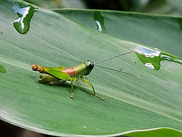 2020-11-17 12.02.53.jpg