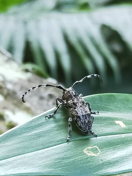 2020-11-17 12.04.19.jpg