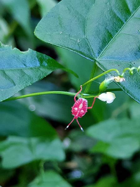 2020-11-17 12.04.46.jpg