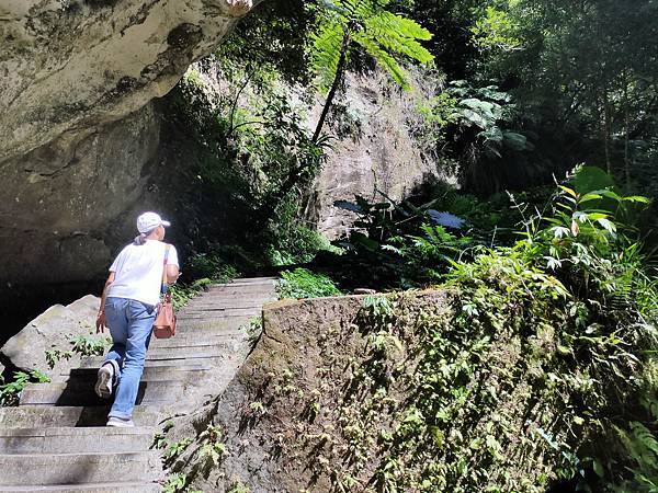 2020-11-17 12.05.55.jpg