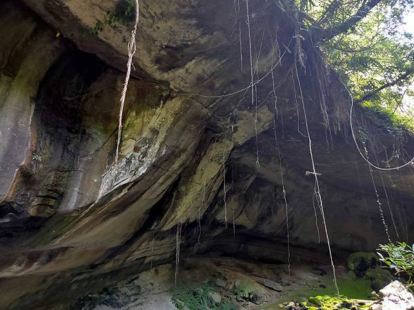 2020-11-17 12.06.57.jpg