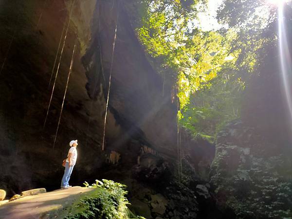 2020-11-17 12.10.54.jpg