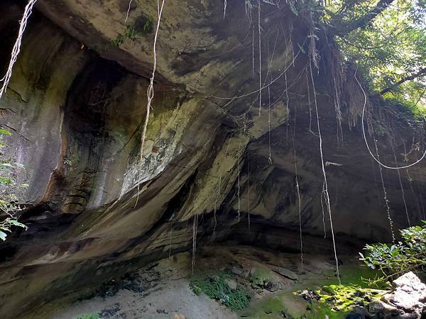 2020-11-17 12.07.05.jpg