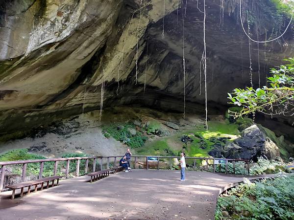 2020-11-17 12.18.28.jpg