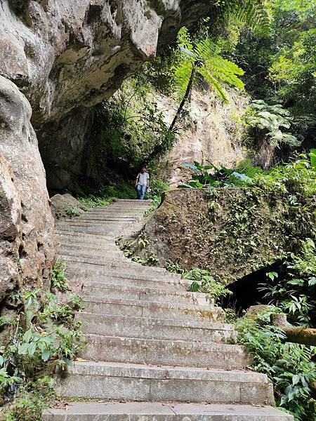 2020-11-17 12.21.11.jpg