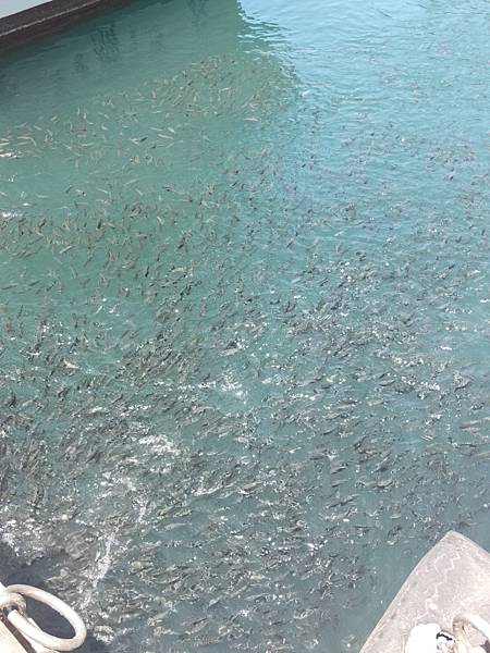 2021-09-07 11.56.50.jpg