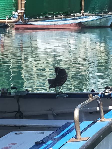 2021-09-07 11.58.03.jpg