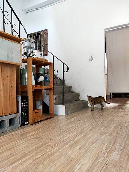 2022-10-03 13.28.15.jpg