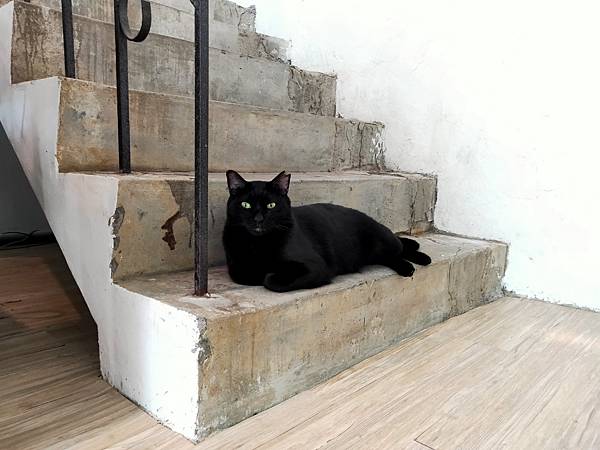 2022-10-03 14.40.58.jpg