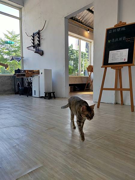 2022-10-03 14.44.32.jpg