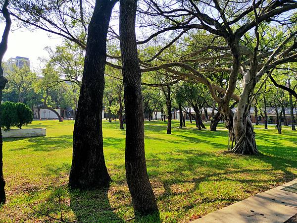 2022-10-03 14.54.51.jpg