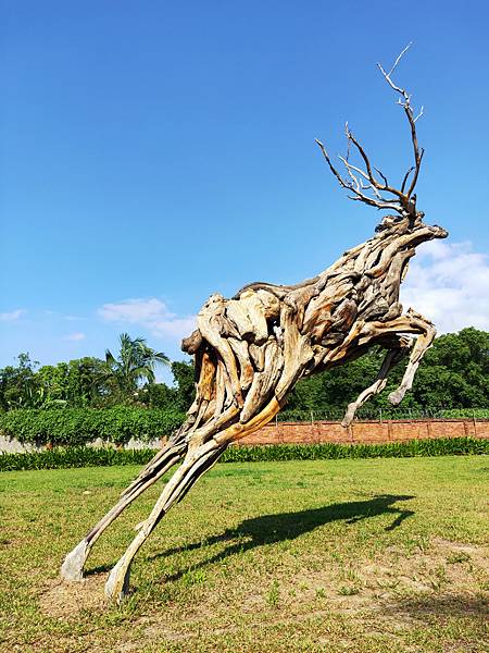 2022-10-03 14.55.50.jpg