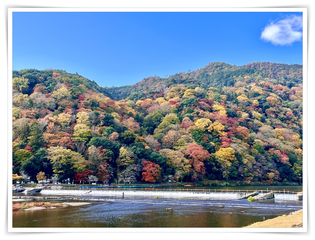 慶解封遊京都賞楓 2 I 嵐山 Ｉ南禪寺Ｉ順正湯豆腐 I 壽