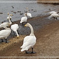 DSC_0035.jpg