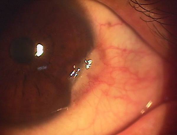 IMGA0740.JPG IMGA0740.JPG