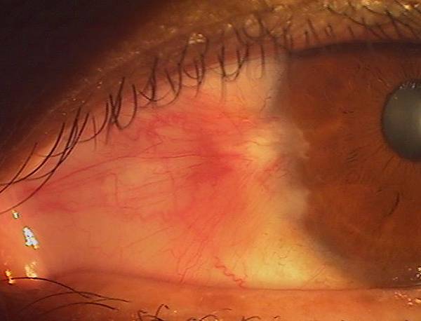 IMGA0764.JPG IMGA0764.JPG