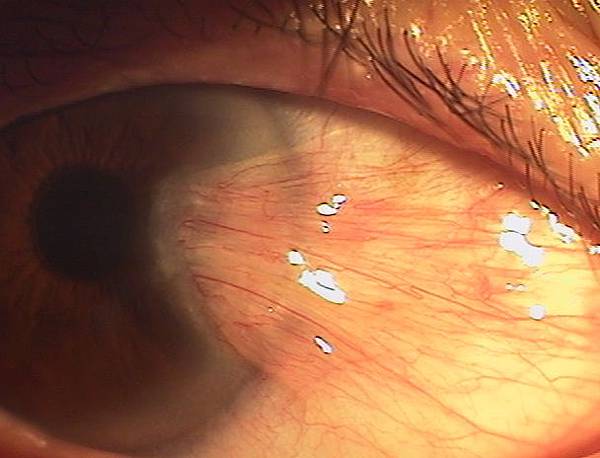 IMGA0166.JPG IMGA0166.JPG