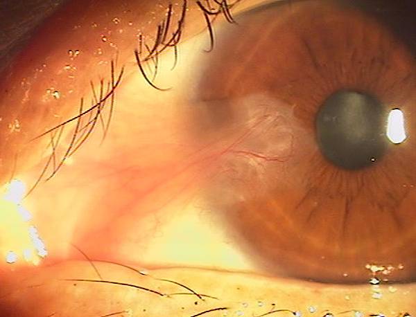 IMGA0756.JPG IMGA0756.JPG