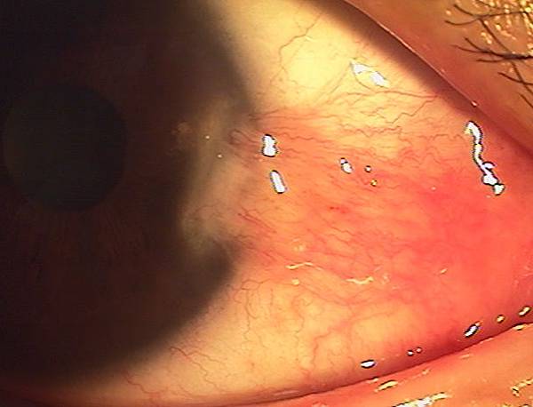 IMGA0767.JPG IMGA0767.JPG