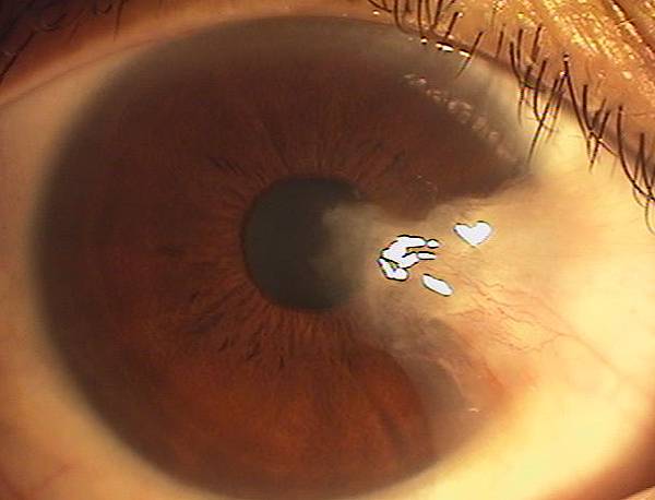 IMGA0653.JPG IMGA0653.JPG