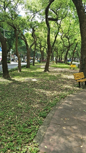 台北眼科醫師