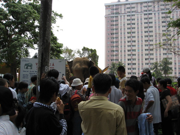 這個才叫觀賞動物XD