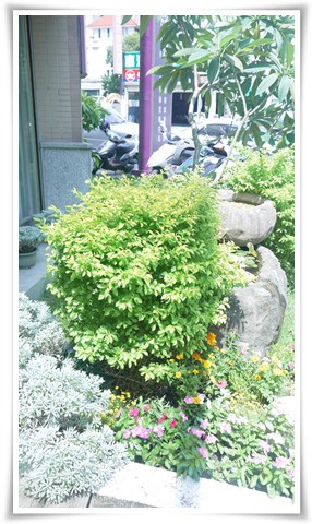 除毛推薦3 除毛推薦3