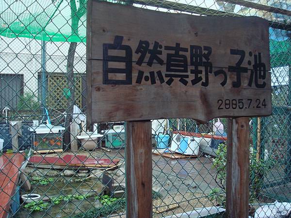 1DSC06351.JPG 1DSC06351.JPG