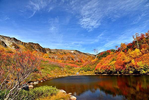 大雪山 紅葉.jpg