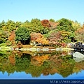 pixta_12767037_L(東京都 國營昭和記念公園).jpg