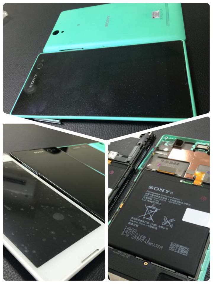 11403211_854513084623301_1842845343983821310_n