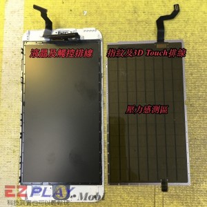 揭開蘋果1 揭開蘋果1
