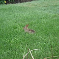 DSC05634.JPG