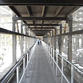 DSC06532.JPG
