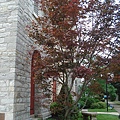 DSC05640.JPG