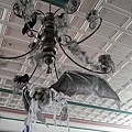 DSC06585.JPG