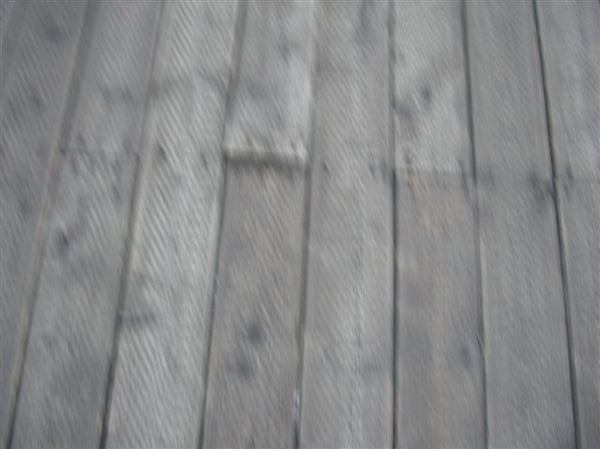 SANY0450.JPG