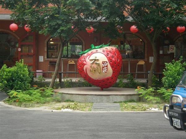 SANY0460.JPG