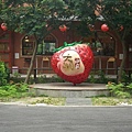 SANY0460.JPG