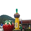 DSC03602.JPG