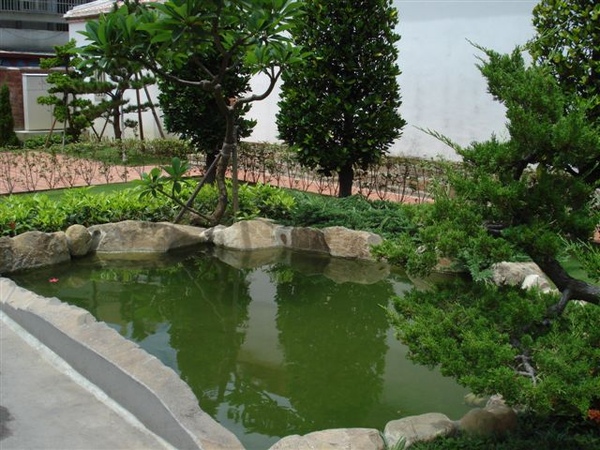 DSC03777.JPG