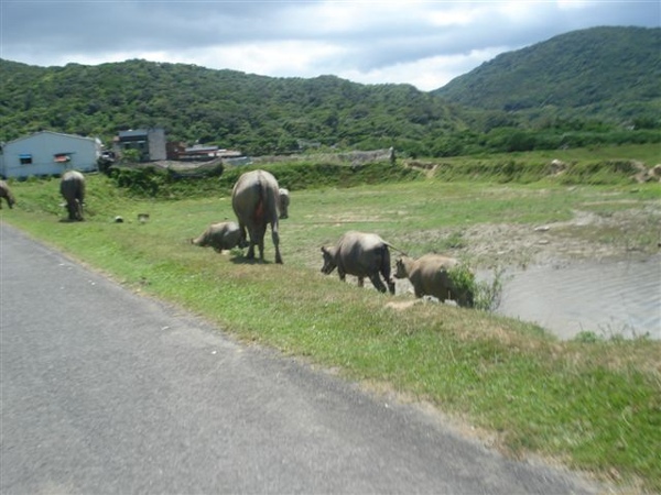 DSC04260.JPG