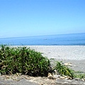 DSC04269.JPG