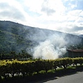 DSC04561.JPG