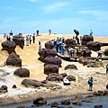 野柳風情