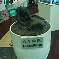 DSC04860.JPG