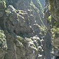 DSC04629.JPG