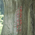DSC04637.JPG