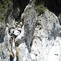 鯉躍龍門